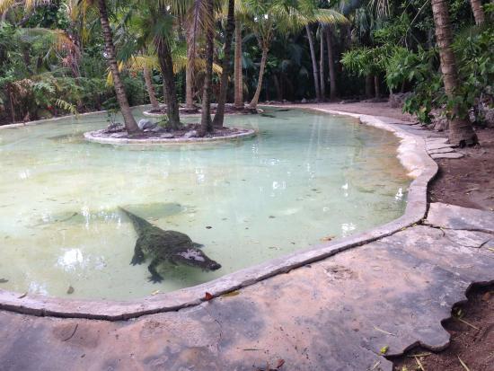 Cenote La Noria